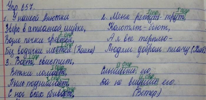 Русский язык 5 класс упражнение 686. Русский язык 5 класс Разумовская. Русский язык пятый класс упражнение 657. Тренажёр по русскому языку 5 класс Разумовская. Русский 5 класс Разумовская 336.