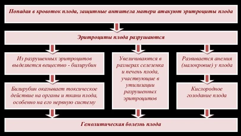 Группа конфликт матери и ребенка. Механизм развития резус конфликта схема. Патогенез резус конфликта матери и плода. Механизм развития гемолитической болезни новорожденных. Патогенез гемолитической болезни плода.