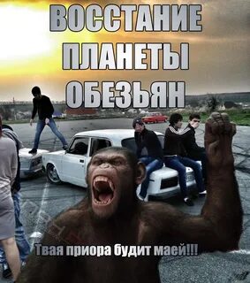 Будите на месте