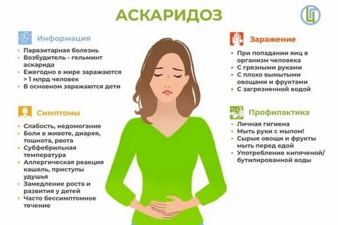 Для предотвращения аскаридозом необходимо