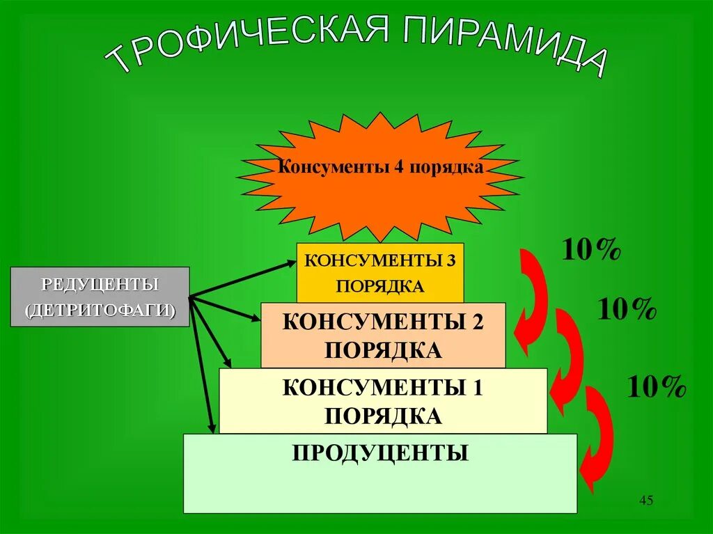 Консументы детритофаги. Детритофаги и редуценты. Детритофаги это редуценты или консументы. Продуценты консументы редуценты детритофаги.