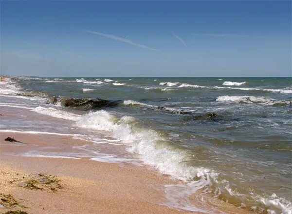Море ты азовское. Посейдон азовское море. Азовское море море. Азовское море фото. Азовское море 22.