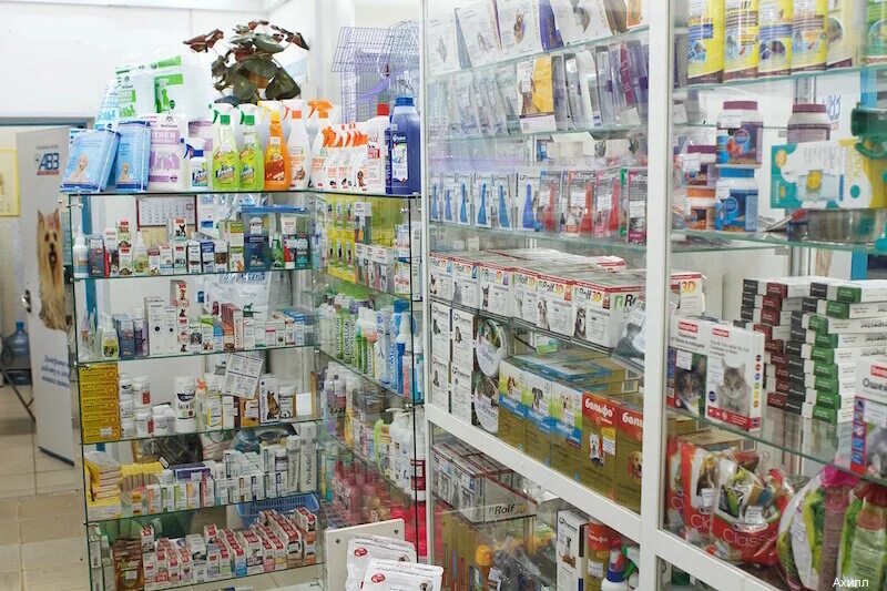 дубнинская 32 ветклиника ахилл. 2021 найден пинчер ленобласть. зубы цвергпинчера фото. ветеринарная клиника ахилл, москва. ветеринарная клиника ахилл.