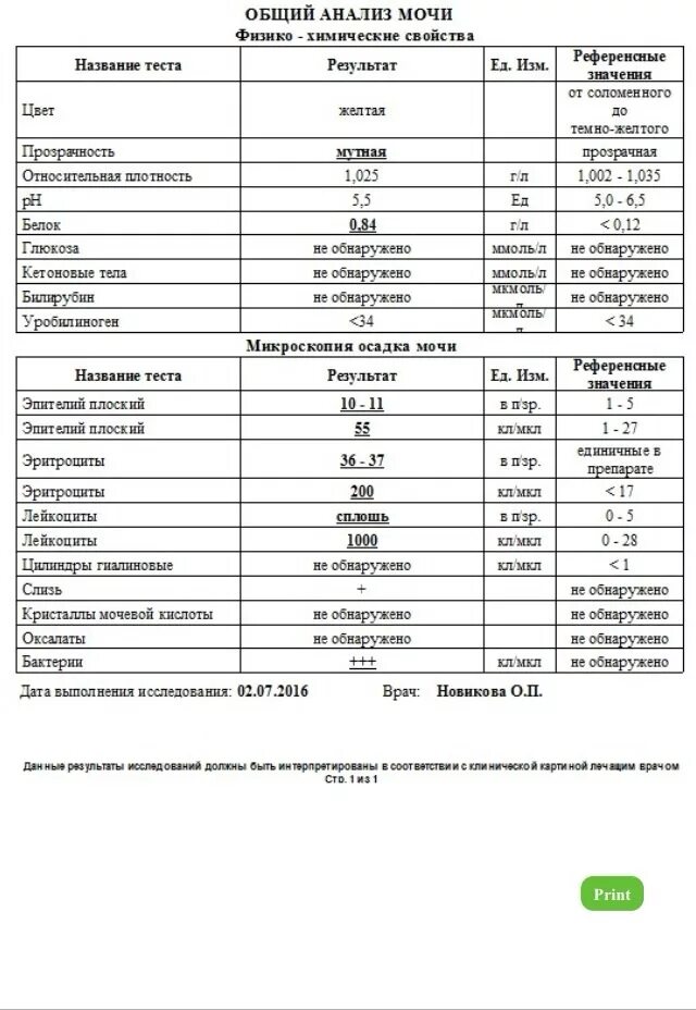 Bld в анализе мочи у женщин. Общий анализ мочи показатели нормы. Анализы мочи расшифровка и нормальные показатели у детей. Показатели общего анализа мочи расшифровка. Нормы показателей мочи у женщин по возрасту таблица.