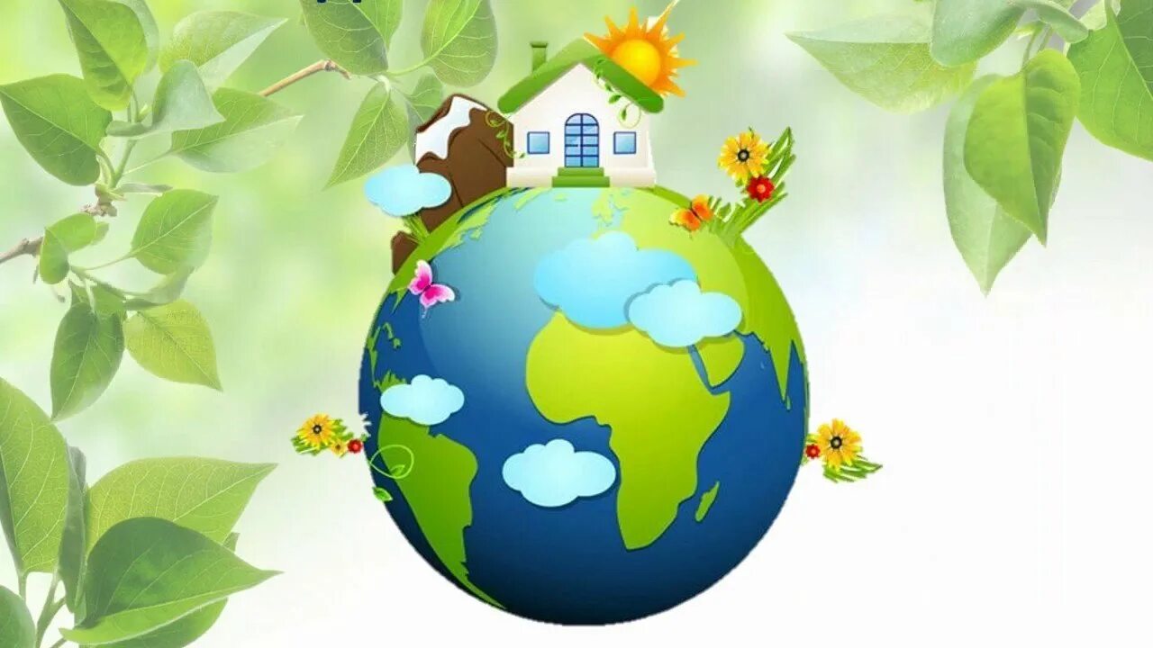 Отчет наш дом земля. Моя зеленая школа. Проект зеленая школа. Картинки на презентацию на тему моя зеленая школа.