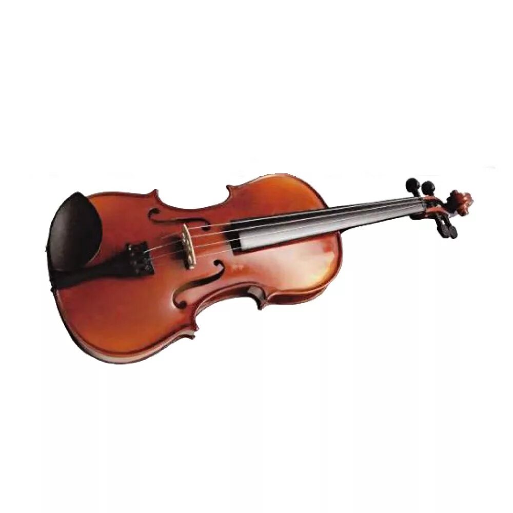 Скрипка 7 8. Скрипка stagg vn-4/4. скрипка stagg violin 4/4. бас-гитара stagg p300-bk. stagg p300 гитара.