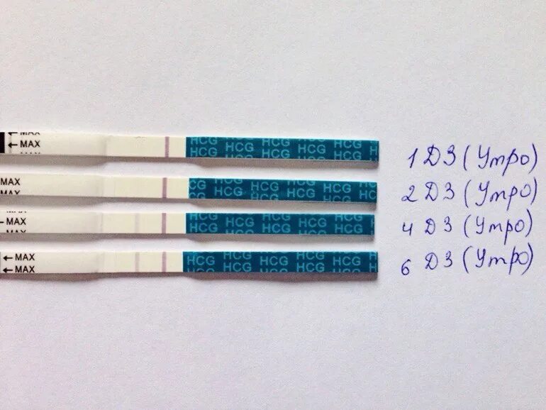 Тест показал беременность на 10 день задержки. Тест на беременность в первый день задержки. Покажет ли тест на беременность в первый день задержки. Беременность тест на беременность 1 день задержки. 4 Дня задержки покажет ли тест беременность.