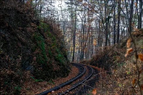 Дорога без рельсов