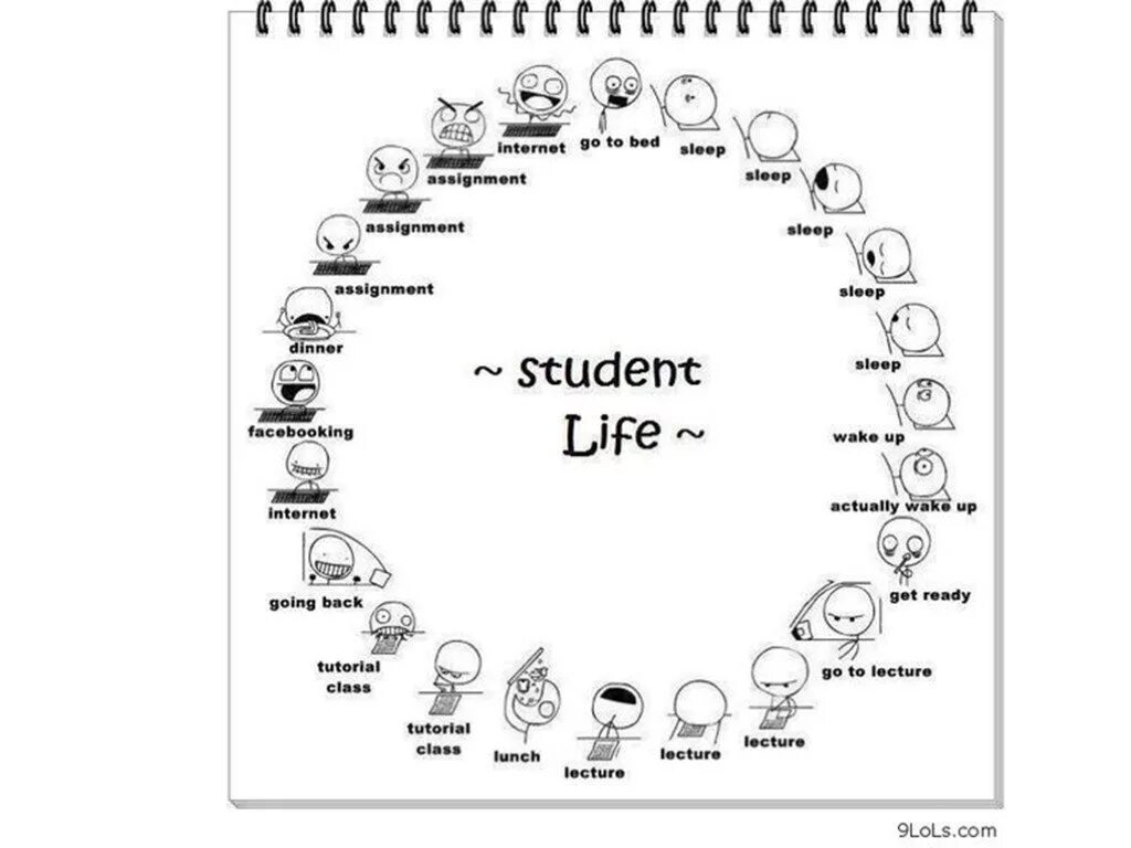 Student Life презентация. My student my Life презентация. Презентация на тему students Life. Students Life ppt.