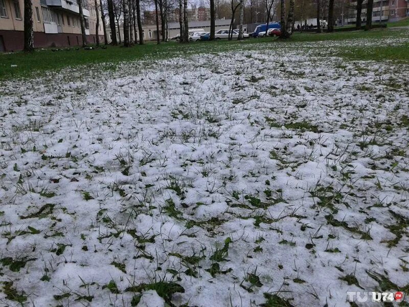 В апреле выпадет снег. Снег в апреле. Апрель мокрый снег. Средний снежок.