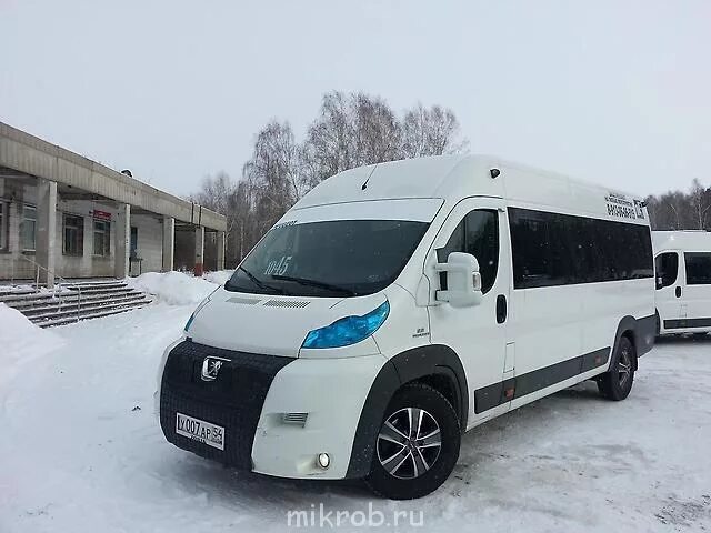 Фиат Дукато 250. Пежо боксер 244. Fiat Ducato 250 кузов. Пежо боксер 250 кузов. Пежо купил фиат