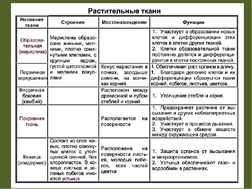 Таблица ткань строение рисунок. Таблица растительные ткани 6 класс биология. Биология 6 кл таблица о ткани растений. Таблица ткани растений 6 класс биология. Ткани растений и животных 6 класс биология таблица.