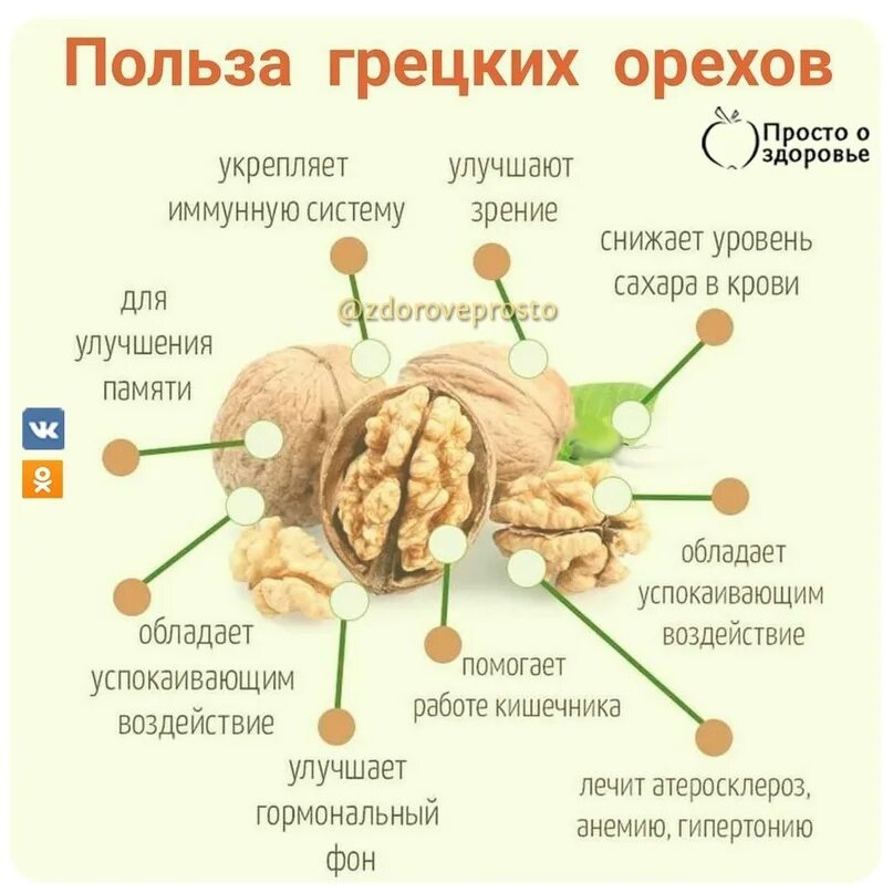 Сколько надо съедать грецких орехов в день. Строение грецких орехов. Чем полезен грецкий орех. Польза грецкого ореха для организма. Грецкий орех польза.