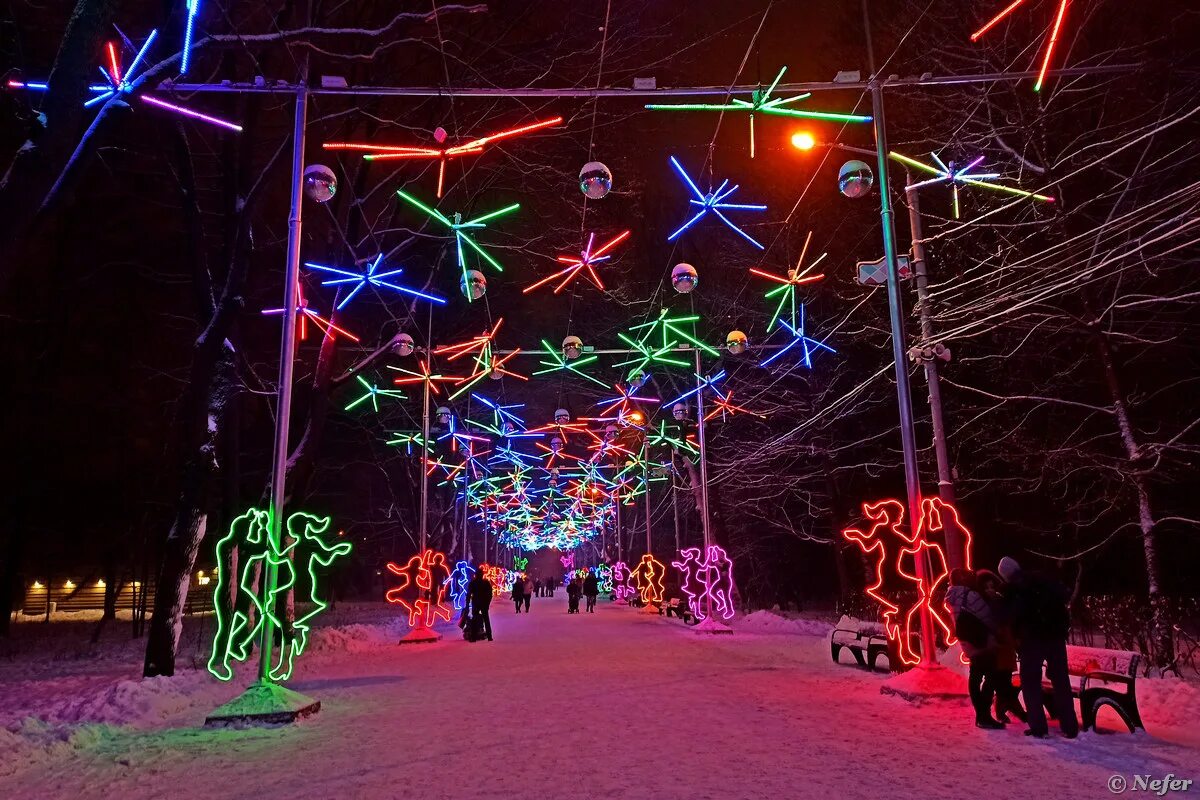 сокольники парк 2023 год