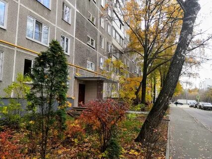 Москва миклухо маклая 29