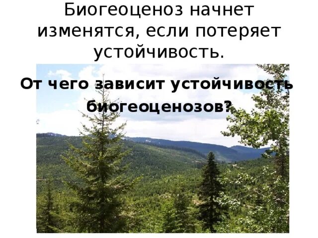 Устойчивость биогеоценоза. Зарождение и смена биогеоценозов. Стабильность и целостность биогеоценоза зависит от. Устойчивость биогеоценоза зависит от. Развитие биогеоценозов