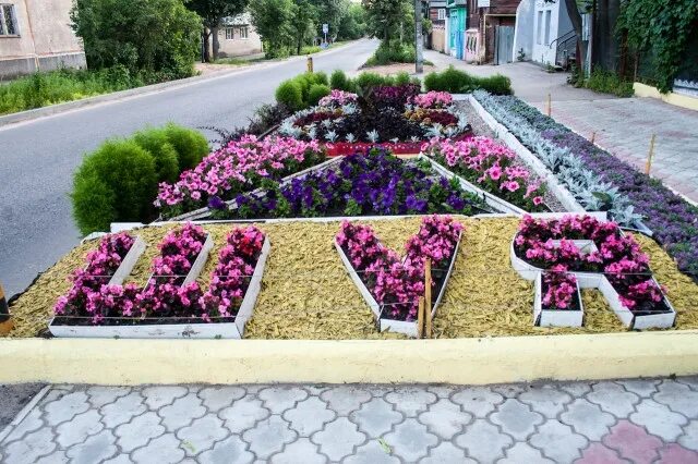 Рабатка тунберга бордюрная. Клумба буквой г. Фигурные клумбы. Полукруглый цветник. Цветочные клумбы.