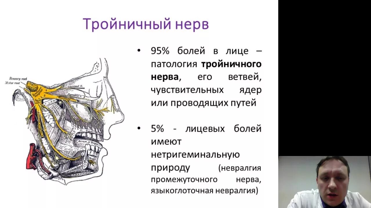 Мрт лицевого нерва. Лицевой и тройничный нерв анатомия. Тройничный нерв на кт. Тройничный нерв конфликт. Тройничный нерв мрт.