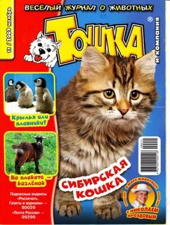 Журнал тошка