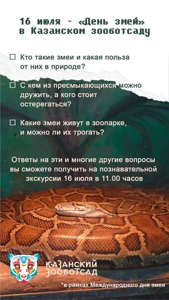 День змеи какой день. Международный день змей. Всемирный день змеи. Международный день змеи поздравления. Международный день змеи 16 июля.