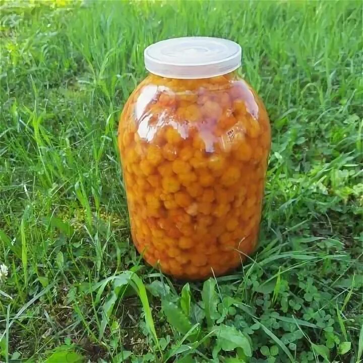 Морошка на зиму без варки как сохранить. Сироп морошка. морошка в собственном соку. морошка в сиропе на зиму. свежая морошка в банке.