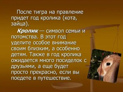 После кролика какой год