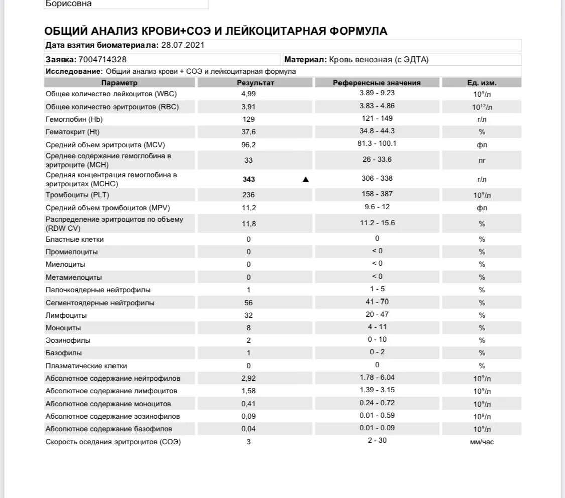 Тромбоциты plt повышены. Палочкоядерные нейтрофилы в анализе. Палочкоядерные нейтрофилы в анализе крови что это такое. Палочкоядерные нейтрофилы ОАК. Клинический анализ крови палочкоядерные.