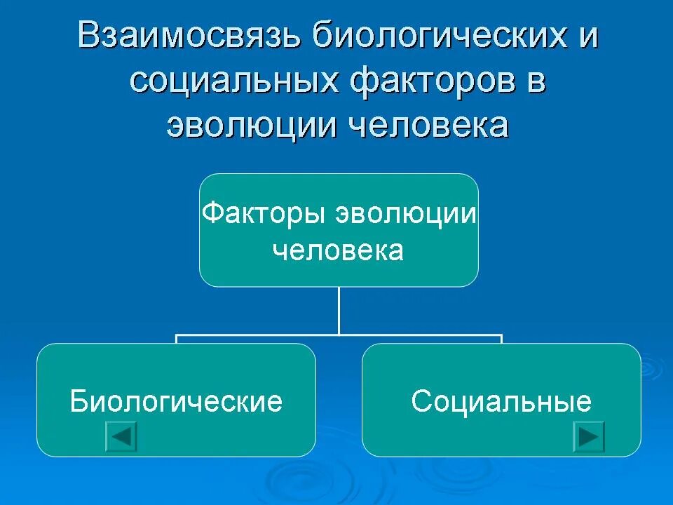 Взаимосвязь биологических и социальных факторов развития. Соотношение биологических и социальных факторов в эволюции человека. Взаимосвязь социальных и биологических факторов в эволюции человека. Соотношение биологического и социального в личности.