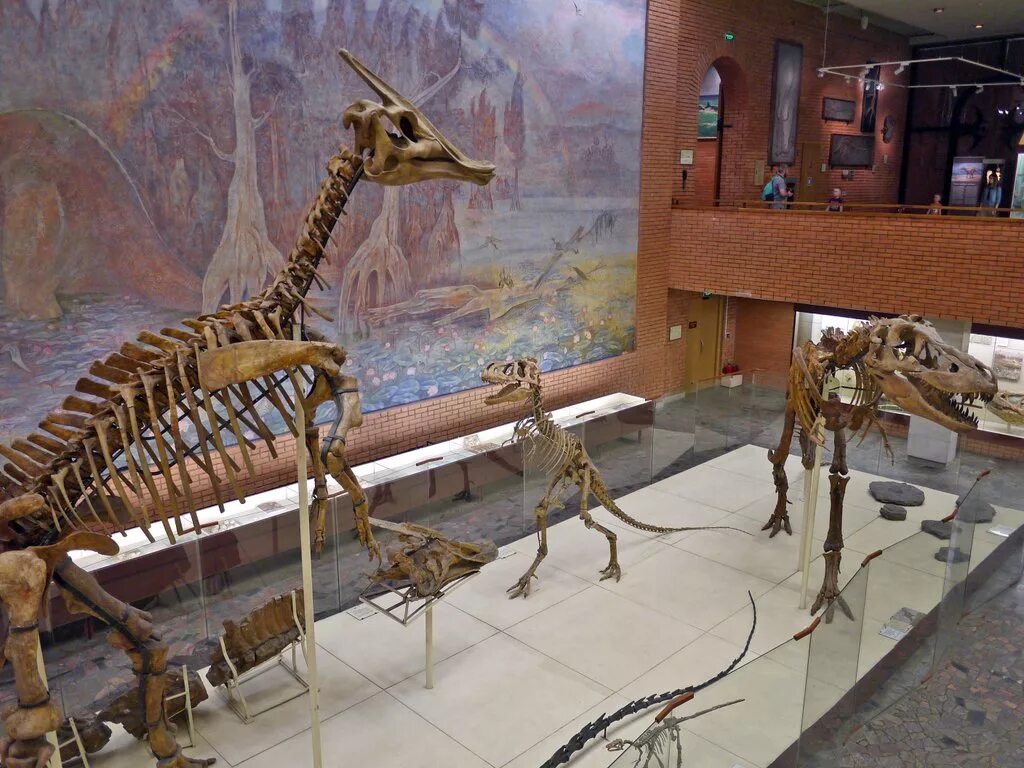 The Paleontological Museum in Moscow (photo taken May 31, . Flickr