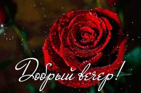 Добрый вечер напишу тебе