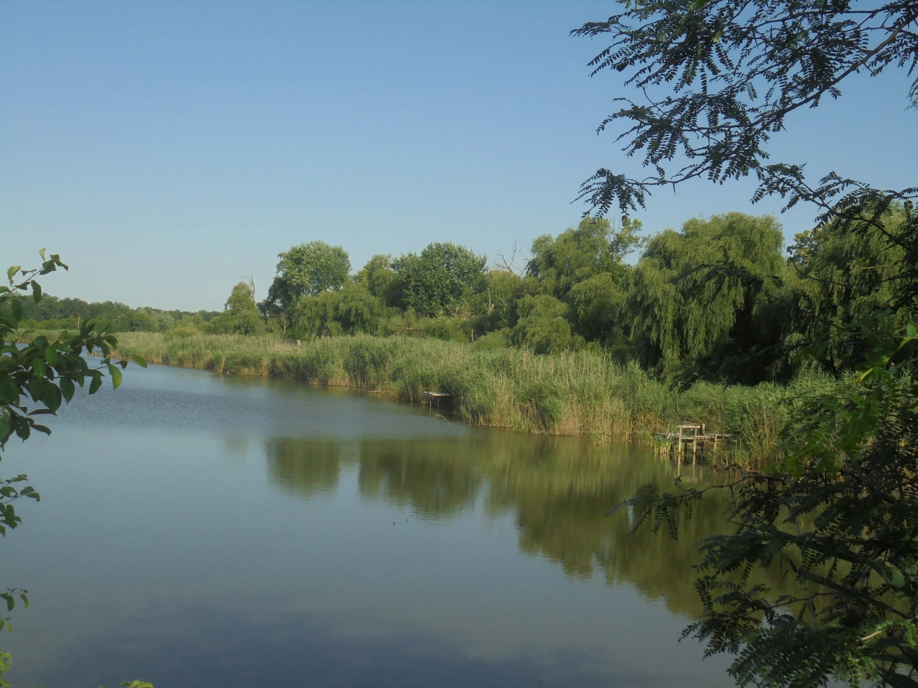 Динской район Краснодарский край. Станица Динская Краснодарский край. Краснодар станица Динская. Река ст Динская. Краснодарский край п динская