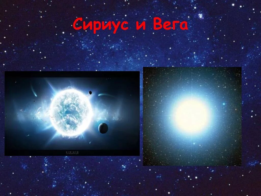 Сириус и вега. Сириус и полярная звезда. Вега планета. Сириус и вега. Сириус звезда.