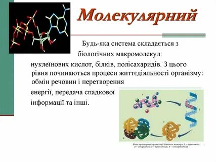 Яка суть