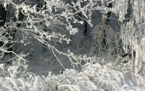 Снег под снегом земля