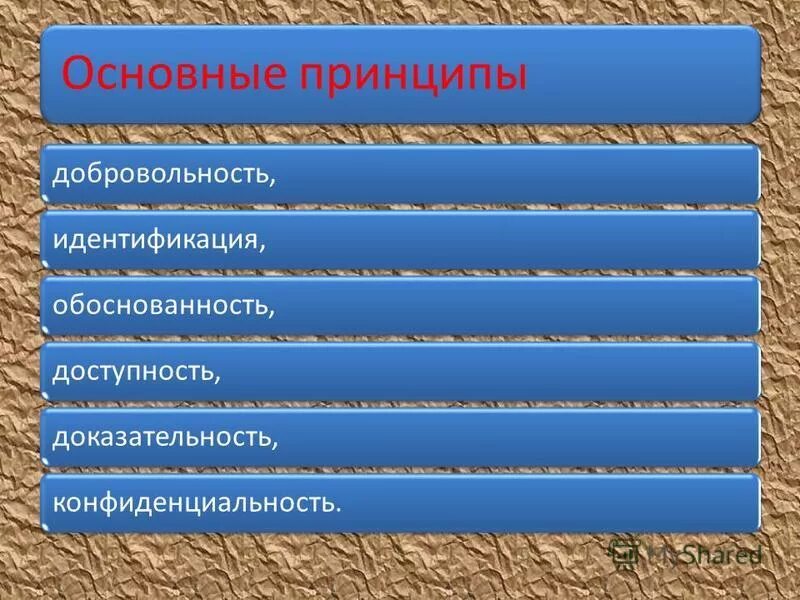 Принцип добровольности участия в выборах