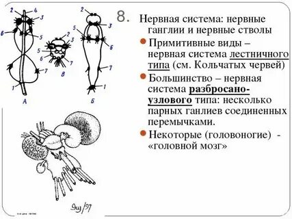 Разбросанный узловой тип
