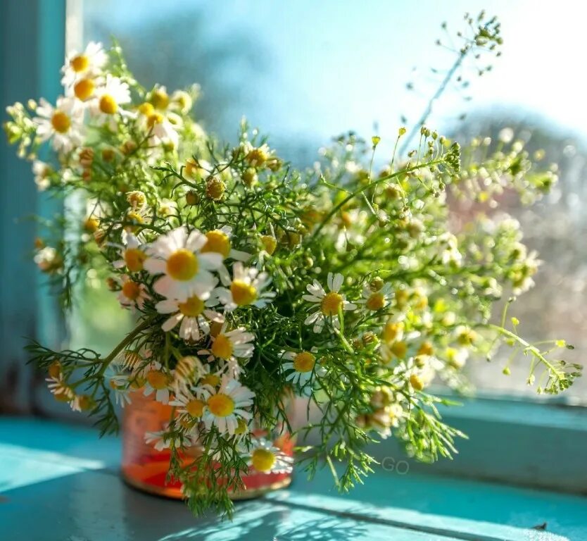 Вы проснулись с добрым утром вас. Доброе утро чудо мое. Красивое солнце. Доброе утро чудо. Какое чудо утром встать.