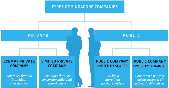 Types of Companies. Types of Business entities. Singapore Company. Type of Company виды. Type of shares