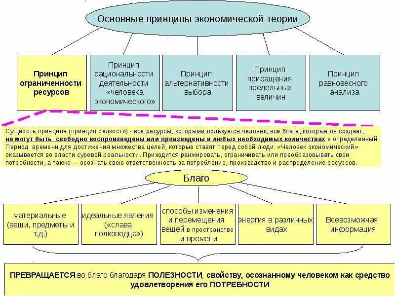 Величина экономической теории. Принципы экономической теории. Основные принципы экономической теории. Принципы экономической теории кратко. Основные экономические принципы.