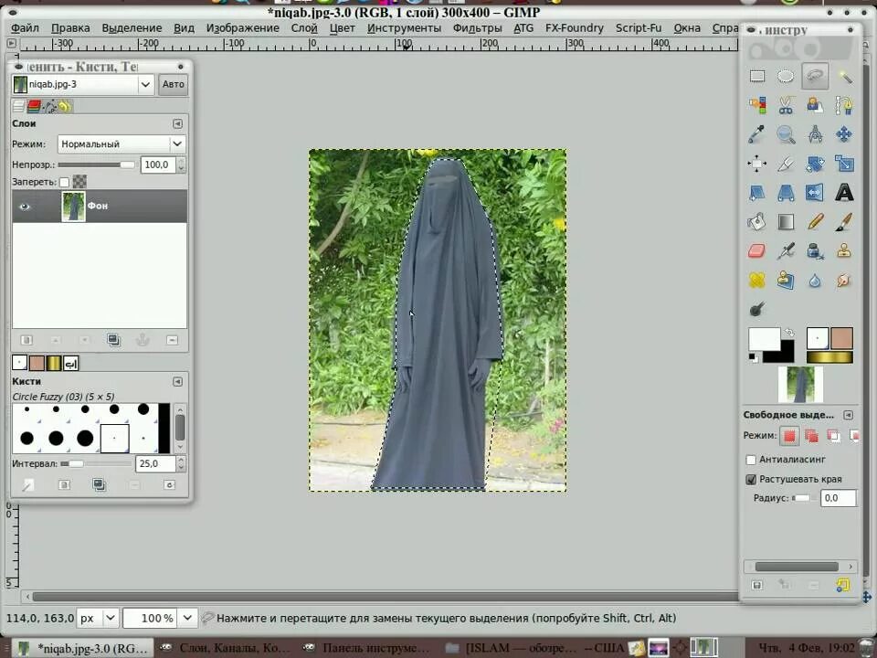 Обводка gimp. Изображение в gimp. свободное выделение в gimp. как вырезать в гимпе. как вырезать объект в гимпе.