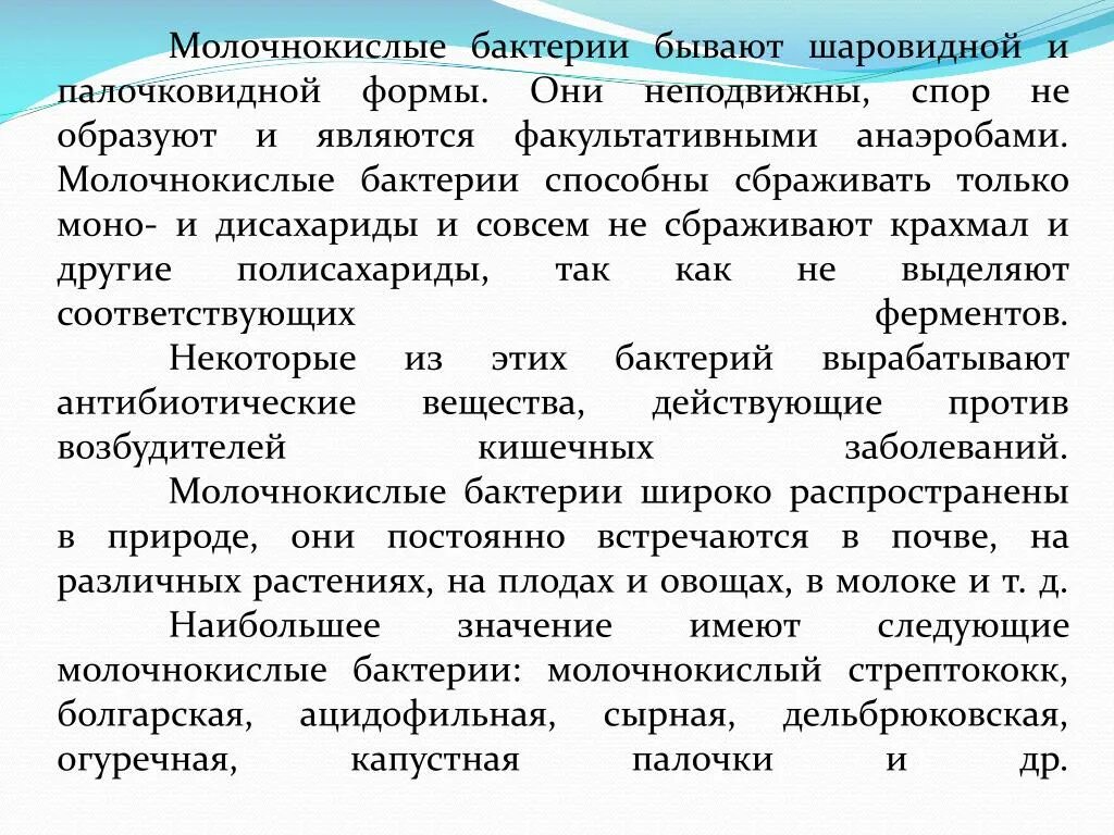 Информация сообщение 5 класс. Молочнокислые бактерии доклад 5 класс кратко \. Молочнокислые бактерии доклад. Информация о кисломолочных бактериях. Сообщение о молочных бактериях.