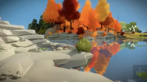 The witness