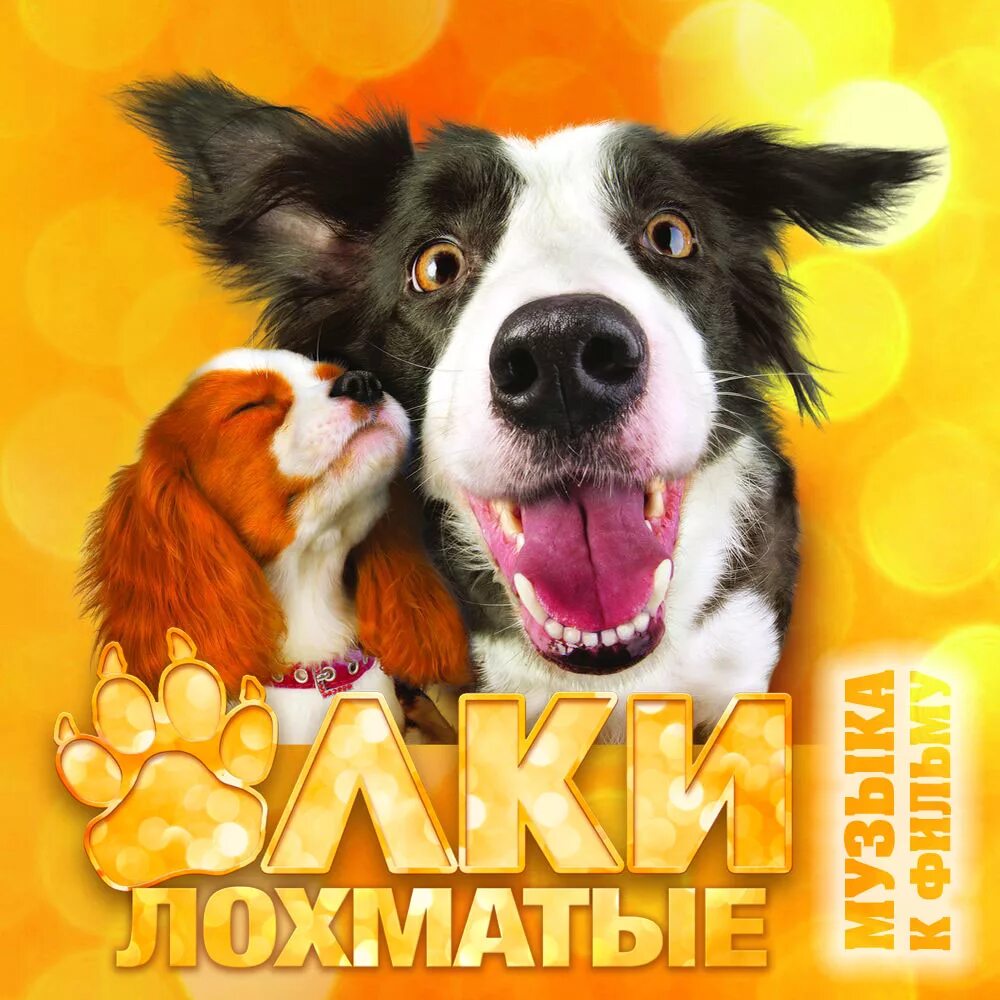 Собака в фильме елки лохматые. Елки лохматые постер. Ёлки лохматые 2. Елки лохматые песни. Ёлки лохматые йоко.