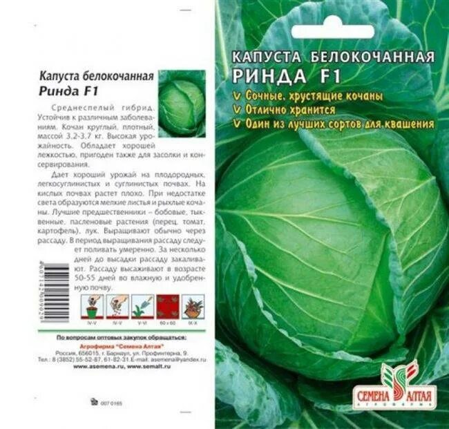 Ринда капуста характеристика отзывы. Ринда капуста характеристика отзывы. Капуста сорт ринда. Капуста ринда сибирский сад. Капуста б/к вестри f1 10шт/10.