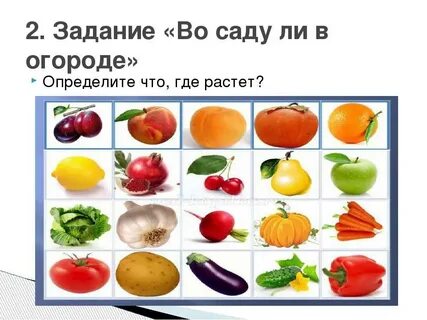 Видеоурок овощи и фрукты 1 класс