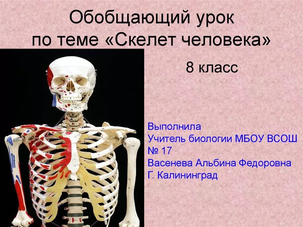 Скелет человека 8 класс биология. Биология 8 класс тема скелет человека. Скелет человека 8 класс биология презентация. Презентация по биологии 8 класса на тему скелет человека. Что определяет скелет