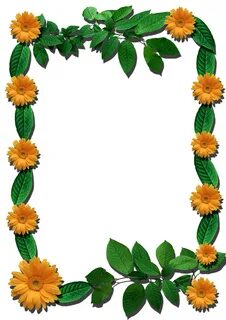 Photo borders