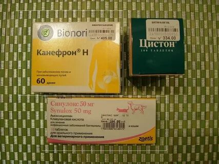 Канефрон коту при мочекаменной болезни дозировка