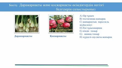 Свингерлердің өмірінен ЖЖ