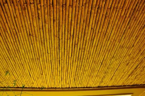 Потолок из бамбука фото - картинки и рисунки: скачать бесплатно (119 фото) ...